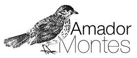 Amador Montes